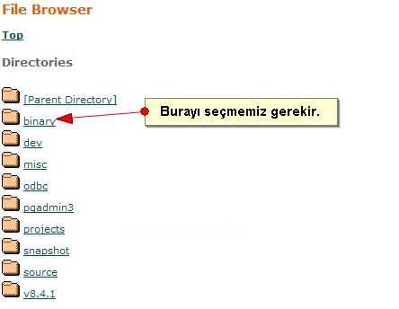 PostgreSQLin Kurulması